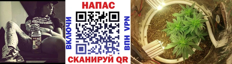 Где купить наркотики Новокузнецк КОКАИН  ГАШ  Марихуана 