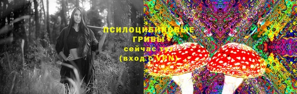 соль ск Надым