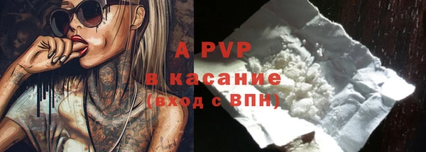 соль ск Надым